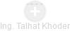 Talhat Khoder - Vizualizace  propojení osoby a firem v obchodním rejstříku