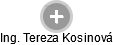 Tereza Kosinová - Vizualizace  propojení osoby a firem v obchodním rejstříku