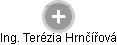  Terézie H. - Vizualizace  propojení osoby a firem v obchodním rejstříku