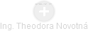 Theodora Novotná - Vizualizace  propojení osoby a firem v obchodním rejstříku