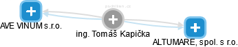 Tomáš Kapička - Vizualizace  propojení osoby a firem v obchodním rejstříku
