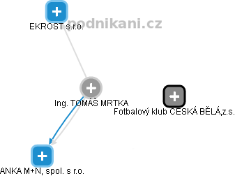 TOMÁŠ MRTKA - Vizualizace  propojení osoby a firem v obchodním rejstříku