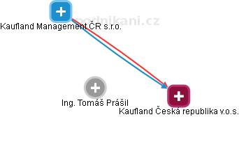 Tomáš Prášil - Vizualizace  propojení osoby a firem v obchodním rejstříku