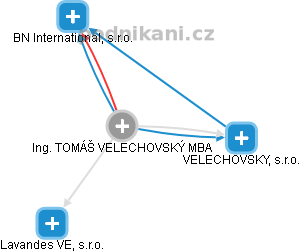  Velechovský T. - Vizualizace  propojení osoby a firem v obchodním rejstříku