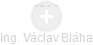 Václav Bláha - Vizualizace  propojení osoby a firem v obchodním rejstříku