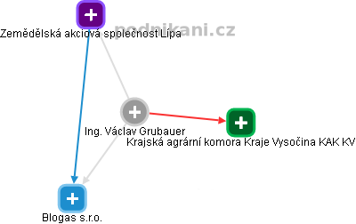 Václav Grubauer - Vizualizace  propojení osoby a firem v obchodním rejstříku