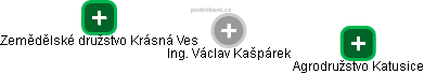 Václav Kašpárek - Vizualizace  propojení osoby a firem v obchodním rejstříku