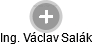 Václav Salák - Vizualizace  propojení osoby a firem v obchodním rejstříku