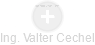 Valter Cechel - Vizualizace  propojení osoby a firem v obchodním rejstříku