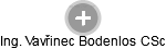  Bodenlos V. - Vizualizace  propojení osoby a firem v obchodním rejstříku