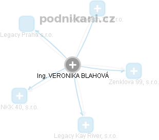  Veronika B. - Vizualizace  propojení osoby a firem v obchodním rejstříku