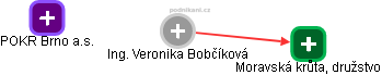 Veronika Bobčíková - Vizualizace  propojení osoby a firem v obchodním rejstříku