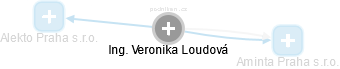Veronika Loudová - Vizualizace  propojení osoby a firem v obchodním rejstříku