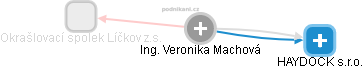  Veronika M. - Vizualizace  propojení osoby a firem v obchodním rejstříku