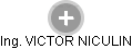 VICTOR NICULIN - Vizualizace  propojení osoby a firem v obchodním rejstříku