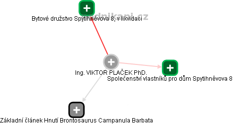 VIKTOR PLAČEK - Vizualizace  propojení osoby a firem v obchodním rejstříku