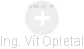 Vít Opletal - Vizualizace  propojení osoby a firem v obchodním rejstříku