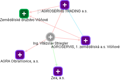 Vítězslav Striegler - Vizualizace  propojení osoby a firem v obchodním rejstříku
