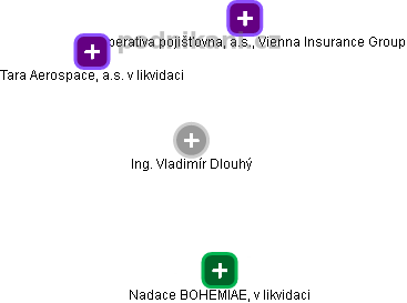  Vladimír D. - Vizualizace  propojení osoby a firem v obchodním rejstříku