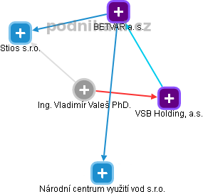 Vladimír Valeš - Vizualizace  propojení osoby a firem v obchodním rejstříku