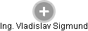 Vladislav Sigmund - Vizualizace  propojení osoby a firem v obchodním rejstříku