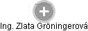 Zlata Gröningerová - Vizualizace  propojení osoby a firem v obchodním rejstříku