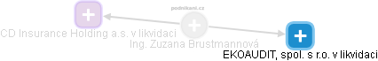 Zuzana Brustmannová - Vizualizace  propojení osoby a firem v obchodním rejstříku