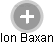 Ion Baxan - Vizualizace  propojení osoby a firem v obchodním rejstříku