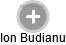 Ion Budianu - Vizualizace  propojení osoby a firem v obchodním rejstříku