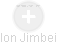 Ion Jimbei - Vizualizace  propojení osoby a firem v obchodním rejstříku