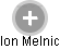 Ion Melnic - Vizualizace  propojení osoby a firem v obchodním rejstříku