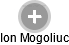 Ion Mogoliuc - Vizualizace  propojení osoby a firem v obchodním rejstříku