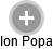 Ion Popa - Vizualizace  propojení osoby a firem v obchodním rejstříku