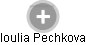 Ioulia Pechkova - Vizualizace  propojení osoby a firem v obchodním rejstříku