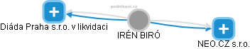 IRÉN BIRÓ - Vizualizace  propojení osoby a firem v obchodním rejstříku