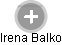 Irena Balko - Vizualizace  propojení osoby a firem v obchodním rejstříku