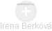Irena Berková - Vizualizace  propojení osoby a firem v obchodním rejstříku