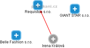  Irena K. - Vizualizace  propojení osoby a firem v obchodním rejstříku
