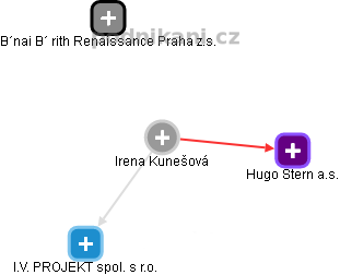 Irena Kunešová - Vizualizace  propojení osoby a firem v obchodním rejstříku