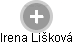 Irena Lišková - Vizualizace  propojení osoby a firem v obchodním rejstříku