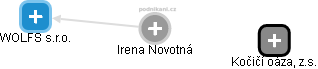  Irena N. - Vizualizace  propojení osoby a firem v obchodním rejstříku