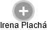 Irena Plachá - Vizualizace  propojení osoby a firem v obchodním rejstříku