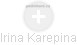 Irina Karepina - Vizualizace  propojení osoby a firem v obchodním rejstříku