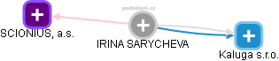 IRINA SARYCHEVA - Vizualizace  propojení osoby a firem v obchodním rejstříku