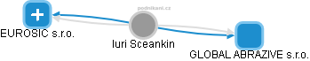 Iuri Sceankin - Vizualizace  propojení osoby a firem v obchodním rejstříku