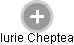 Iurie Cheptea - Vizualizace  propojení osoby a firem v obchodním rejstříku