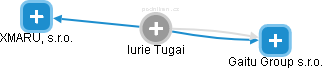 Iurie Tugai - Vizualizace  propojení osoby a firem v obchodním rejstříku
