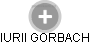 IURII GORBACH - Vizualizace  propojení osoby a firem v obchodním rejstříku