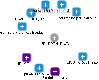 IURII PODMARKOV - Vizualizace  propojení osoby a firem v obchodním rejstříku