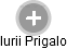 Iurii Prigalo - Vizualizace  propojení osoby a firem v obchodním rejstříku